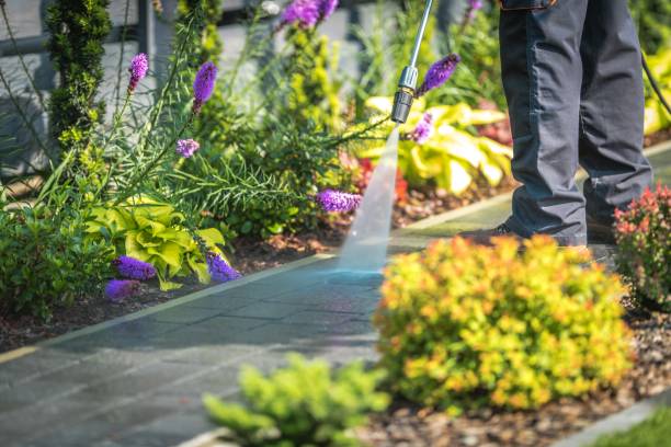 Best Restaurant Pressure Washing  in New Middletown, OH
